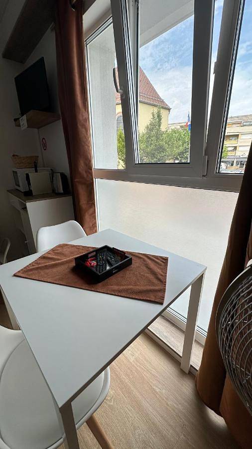 Location de vacances pour 2 personnes, avec vue, animaux acceptés dans Hésingue - 3