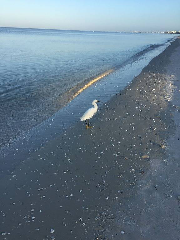 Ganze Wohnung, Schöner Ort! Tolle Fallraten! in Bonita Bay, Bonita Springs