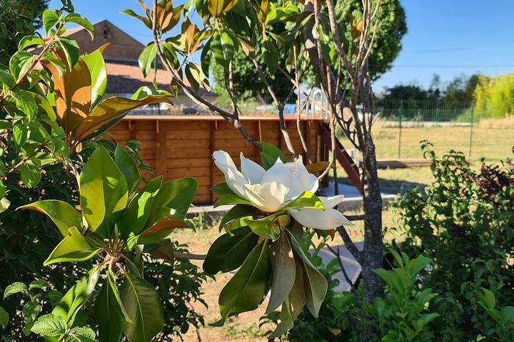Gîte pour 2 personnes, avec terrasse et piscine à Trets - 3