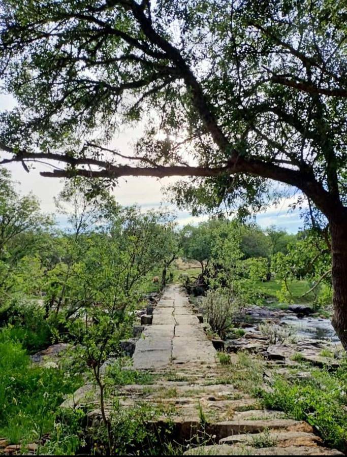 Casa rural para 6 personas, con jardín y vistas en Comarca de Vitigudino - 4