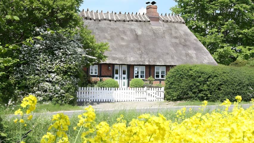 Ferienhaus für 5 Personen, mit Sauna und Garten, mit Haustier