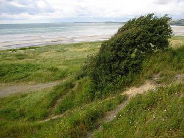 Ferieudlejning til 6 Personer i Havnsø, Nordwestseeland, Billede 4