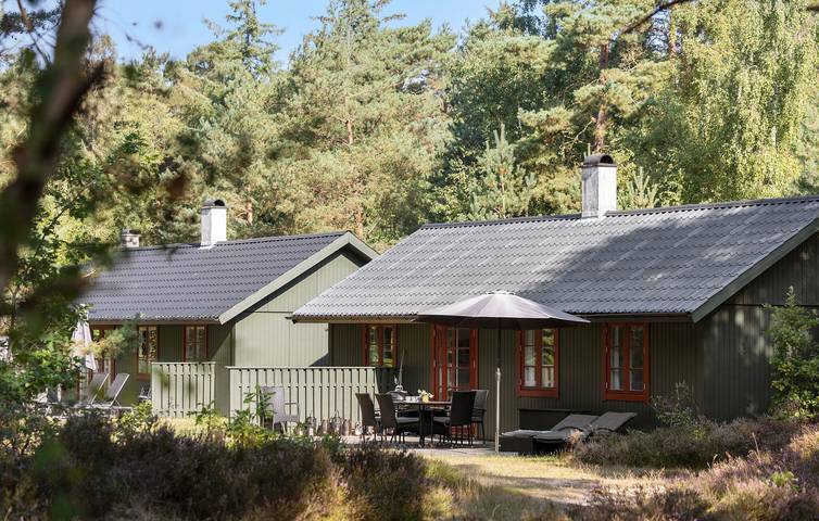 Ferieudlejning for 6 personer, med pool og terrasse i Dueodde