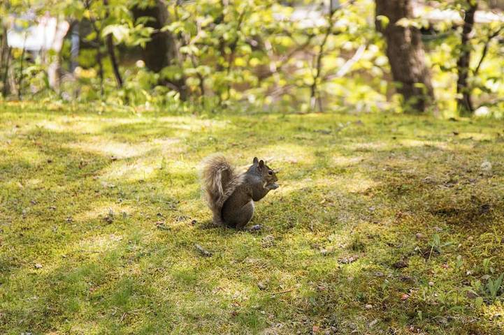 Ferienhaus für 8 Personen in Altusried - 4