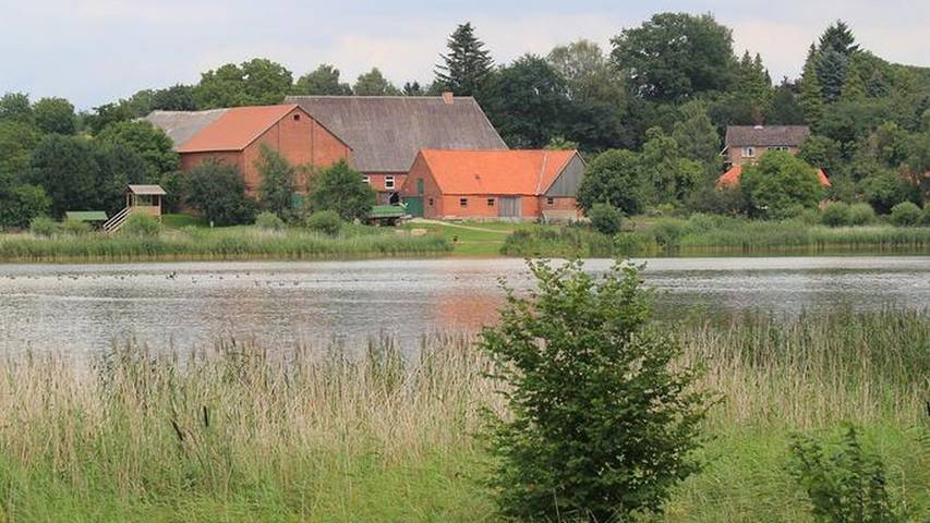 Ferienwohnung für 4 Personen, mit Terrasse, mit Haustier in Naturpark Lauenburgische Seen - 3