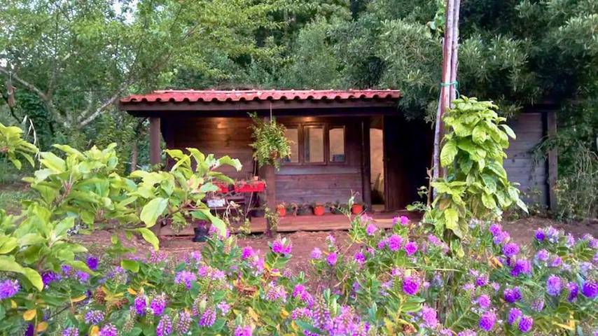 Casa de férias para 2 pessoas, com Varanda e Terraço e ainda Jardim and Vista em Paredes de Coura