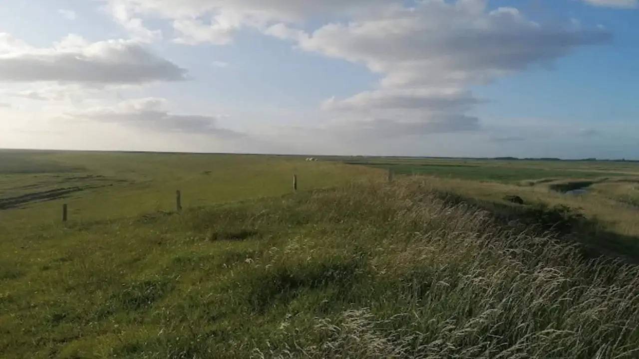 Ferienhaus für 4 Personen (70 m²) in Grenaa in Skærbæk, Wadden Sea National Park