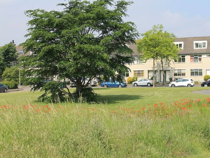 Gemütliche Ferienwohnug in Diemen, Holländische Küste