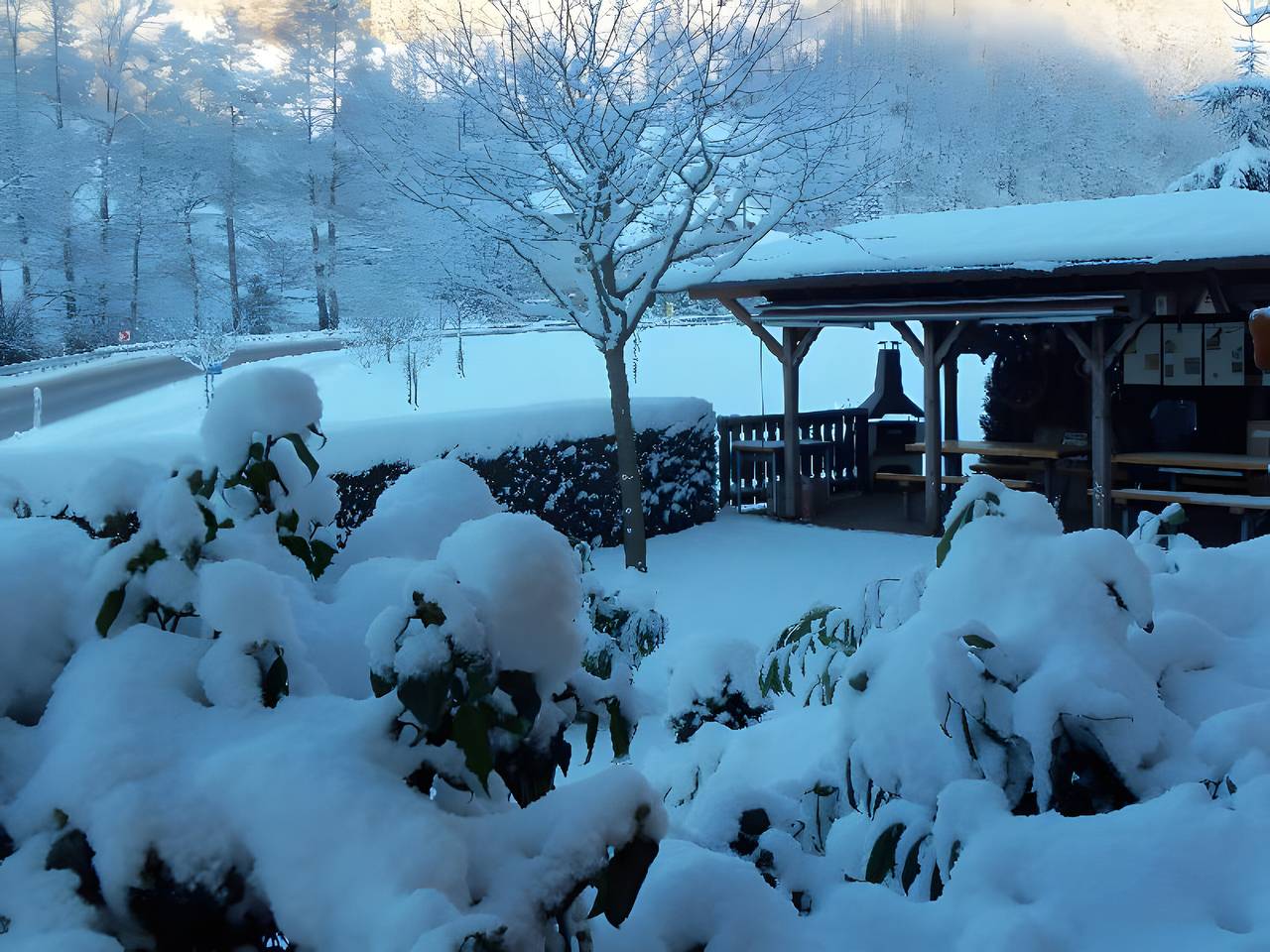Appartamento intero, Pension Haus Rose - Doppelzimmer Trimm Dich-stüble in Oberharmersbach, Foresta Nera centrale
