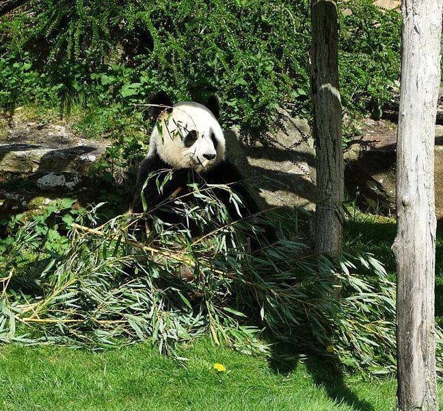 Location de vacances pour 8 personnes, avec terrasse et jardin à Saint-Julien-de-Chédon - 3