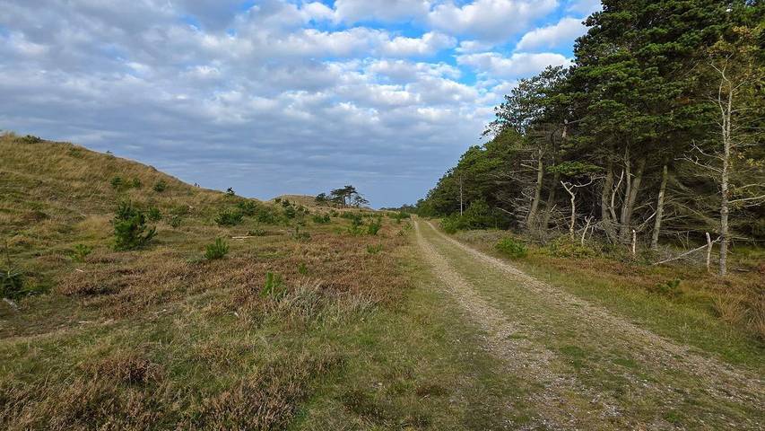 Ferienhaus für 15 Personen, mit Whirlpool und Terrasse, mit Haustier in Vester Husby - 4