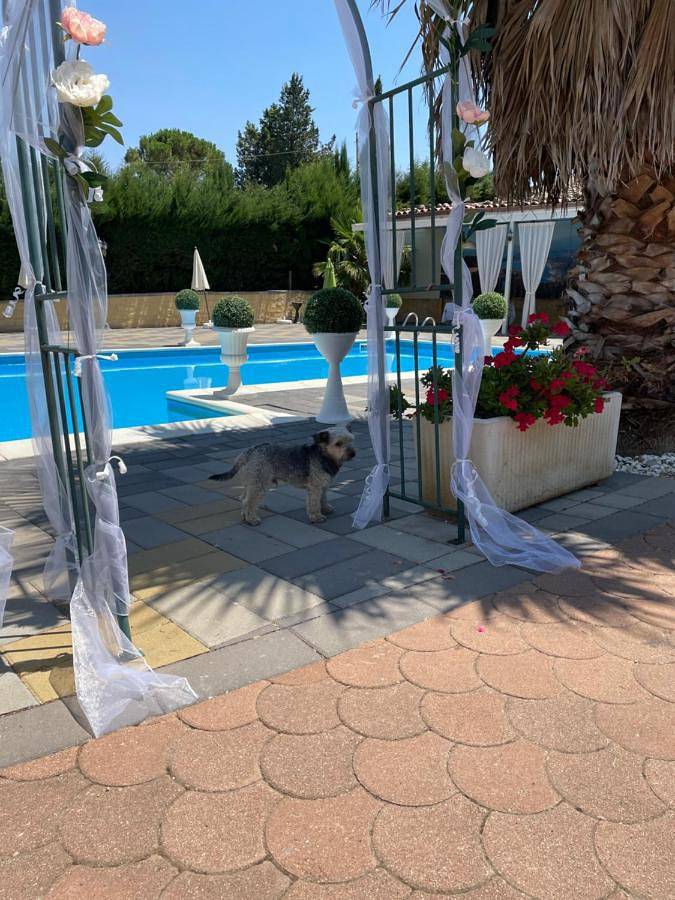 Location de vacances pour 14 personnes, avec vue ainsi que jardin et piscine dans Pergusa - 4