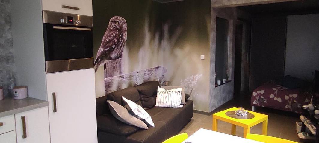 Location de vacances pour 5 personnes, avec terrasse à Frasnes-lez-Anvaing - 4