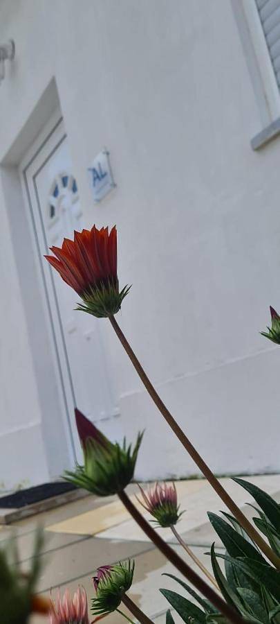 Location de vacances pour 5 personnes, avec terrasse à Caldas da Rainha - 2