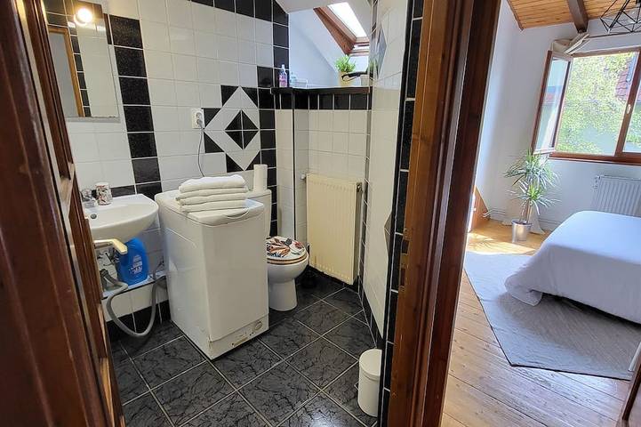Appartement entier, Charming chalet-style accommodation, 12 minutes from the town center in Schiltigheim, Région de Strasbourg