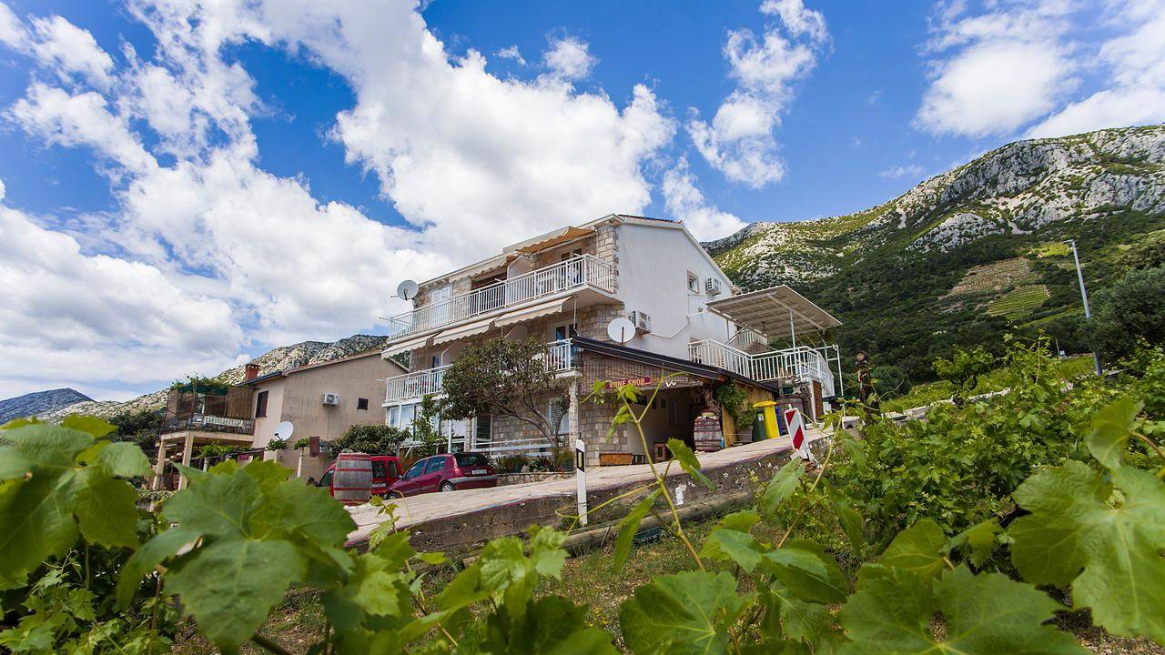 Ganze Ferienwohnung, Ferienwohnung für 3 Personen (30 m²) in Borak in Potomje, Dubrovnik-Neretva