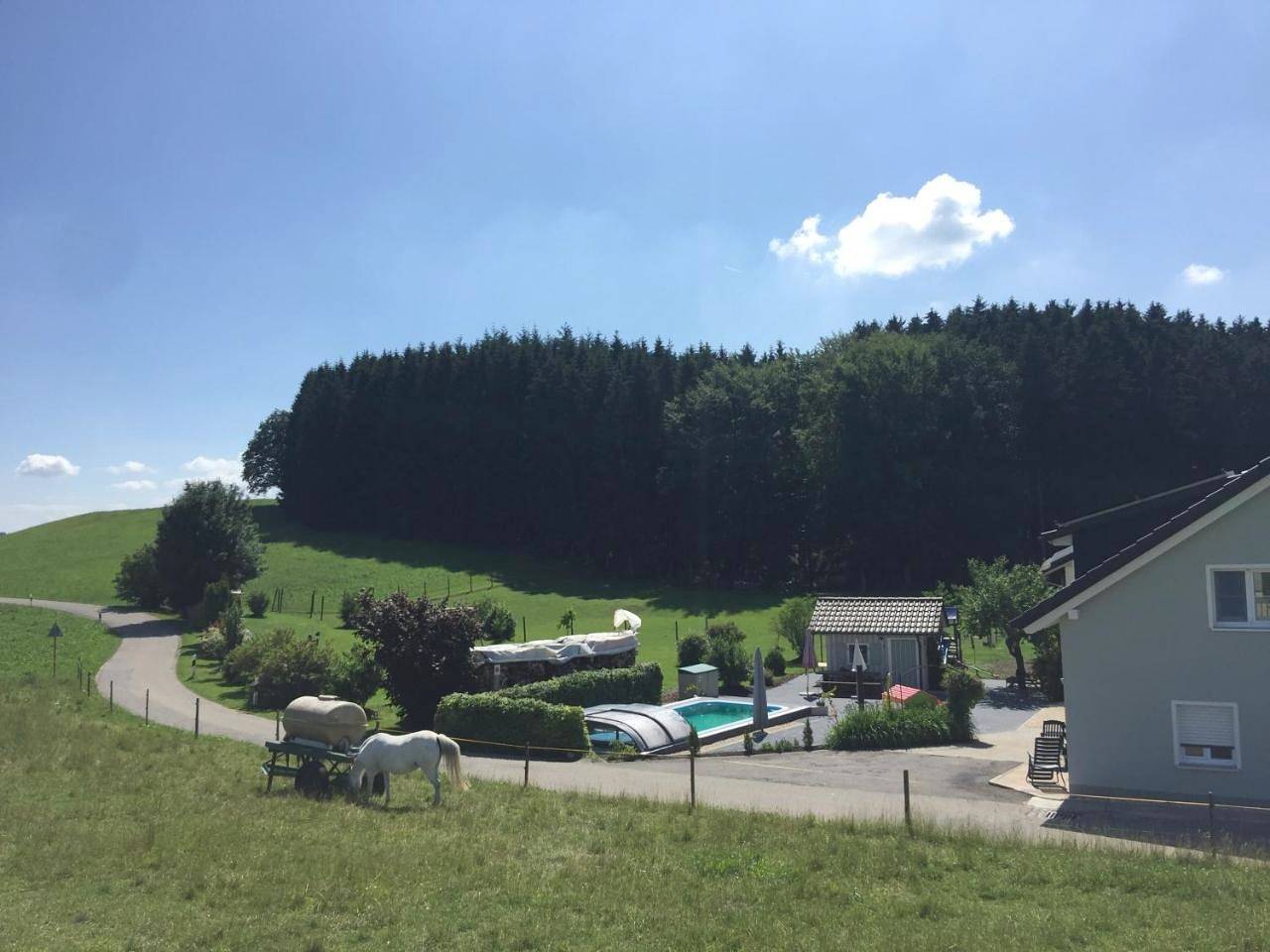 Ganze Wohnung, Apartment with Mountain View in Kißlegg, Region Bodensee-Oberschwaben