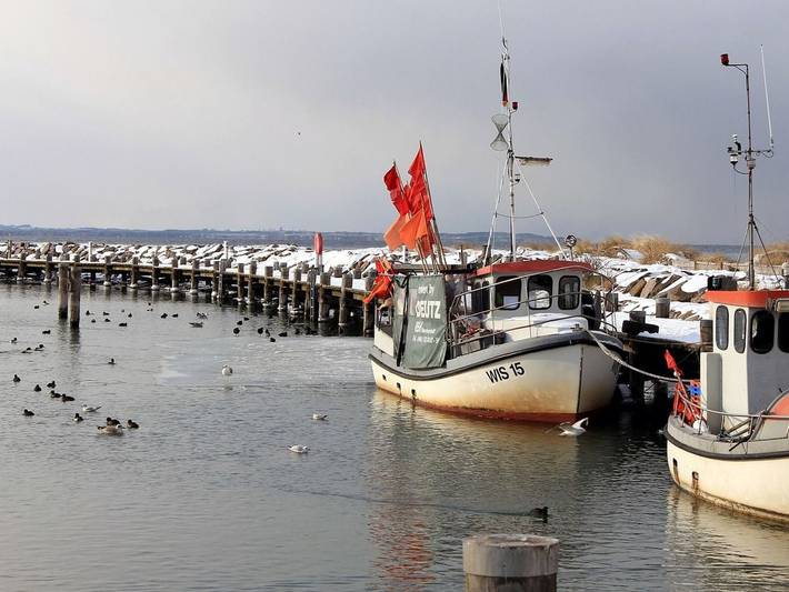Ferienwohnung für 2 Personen, mit Terrasse und Garten in Timmendorf - 4