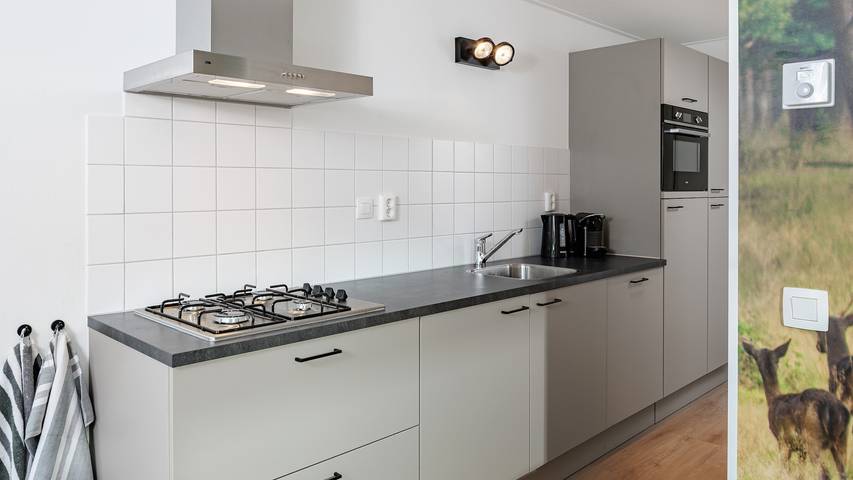 Summio Schaijk — Forest Cabin Wellness 6 in Landerd, Nordbrabant