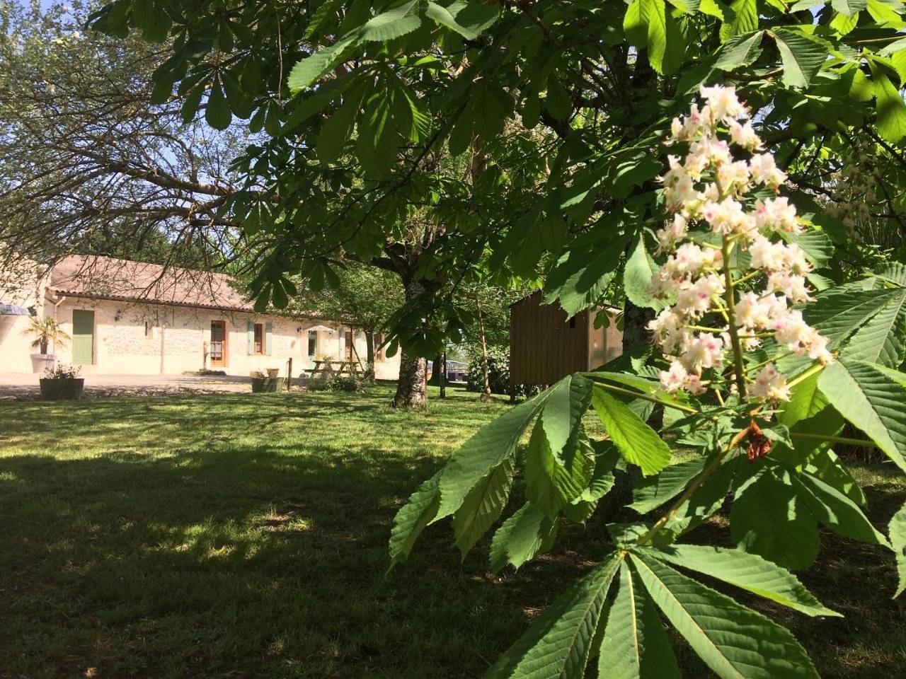 Double Room with Garden View in Saint-Estèphe, Région de Lesparre-Médoc