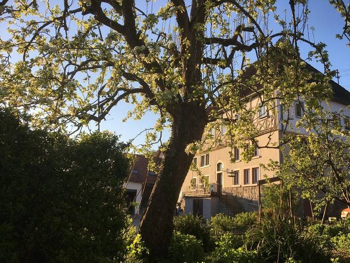 Ferienwohnung für 2 Personen, mit Balkon und Balkon/Terrasse sowie Terrasse