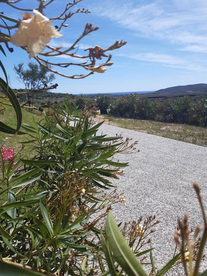 Chambre d’hôte pour 2 personnes, avec jardin et vue à San Teodoro - 2