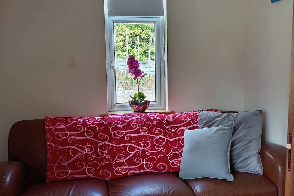 Hel lägenhet, Stickens Apartment in Kildare (grevskap)