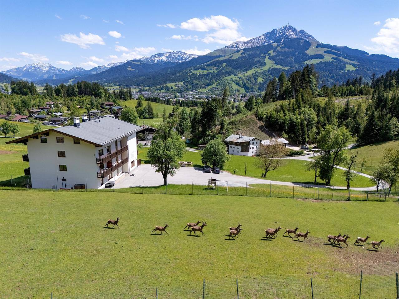Appartement/Fewo, Tyrol in Sankt Johann in Tirol, Kaisergebirge