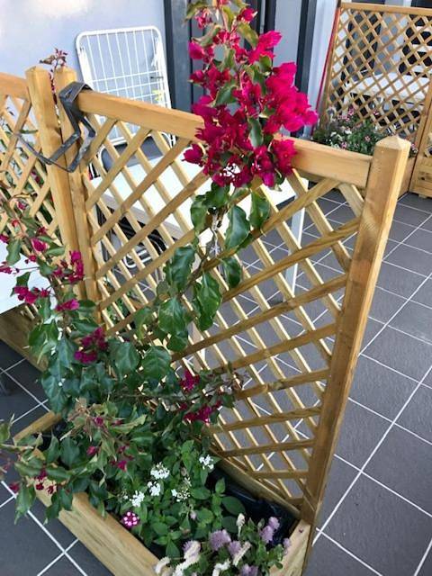 Gästehaus für 2 Personen, mit Garten am Balaton - 4