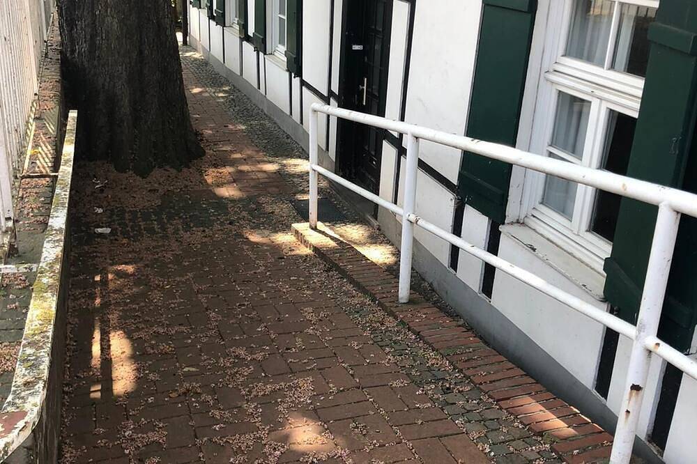 2 Minuten vom Aasee Münster entfernt - gemütliche 2Z Wohnung im Eg mit Garten in Münster, Münsterland