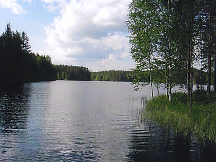 Aittolahti 1 in Jämsä, Mittelfinnland