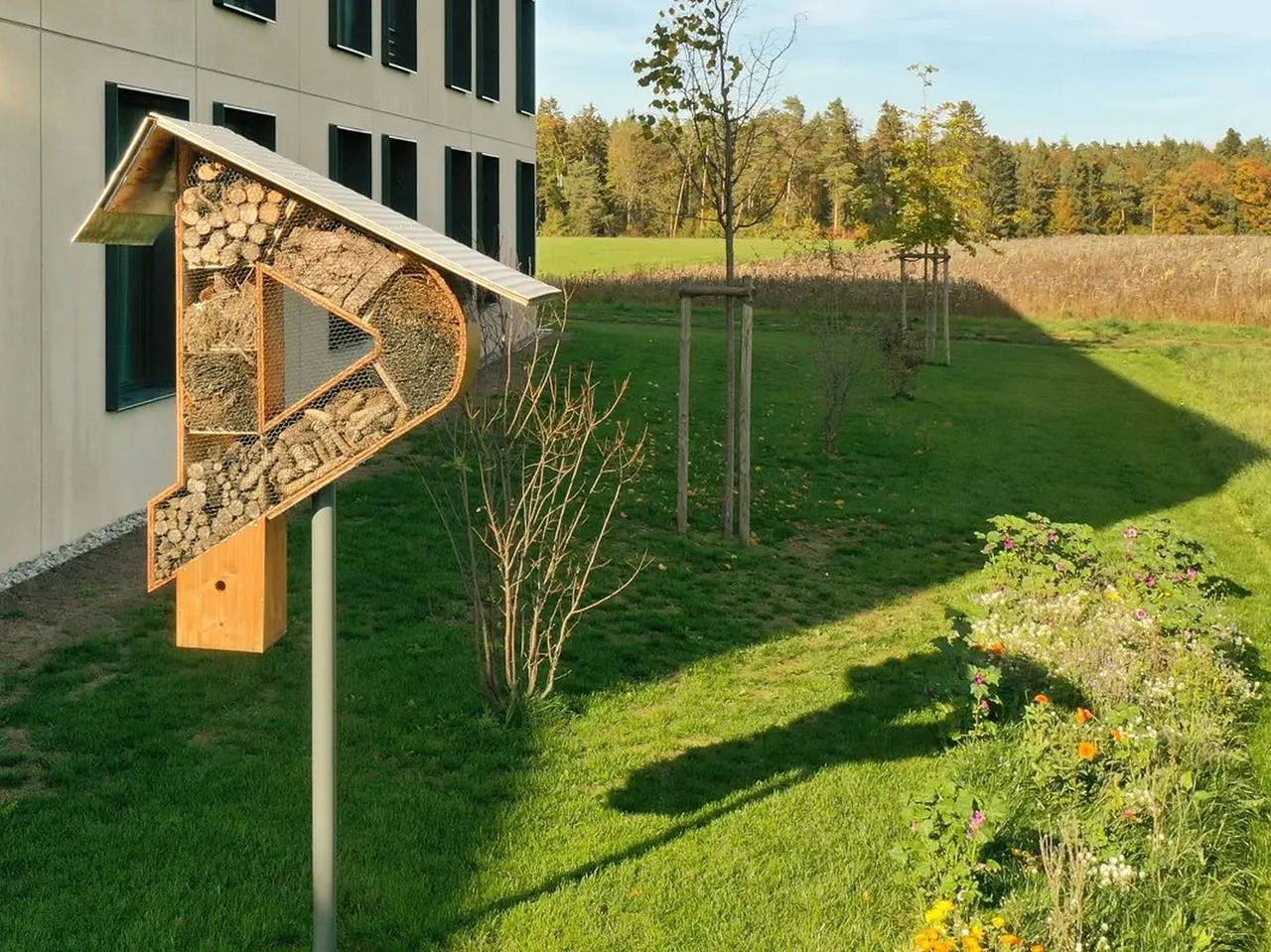 Dekra Congresshotel Wart - Business Doppelzimmer im Congresshotel in Altensteig, Nordschwarzwald