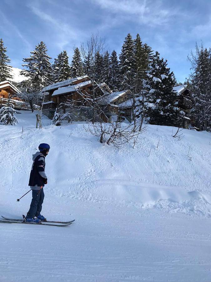 Chalet pour 6 personnes, avec terrasse et vue, animaux acceptés dans Méribel - 4