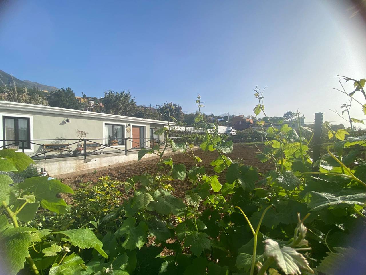 „El Llano“ mit Meerblick, privatem Pool und Wlan in La Orotava, Teneriffa Nord