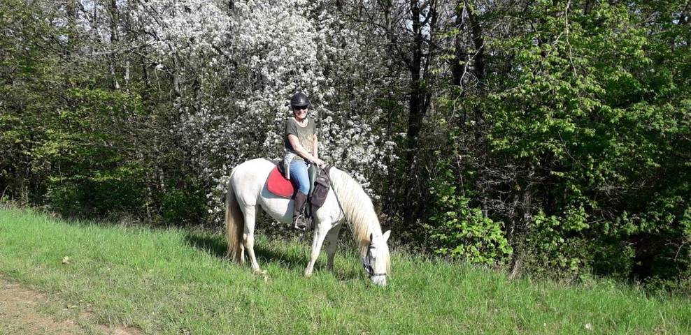 Maison d’hôte pour 7 personnes, avec vue et jardin dans vallée de l'Ouche - 2