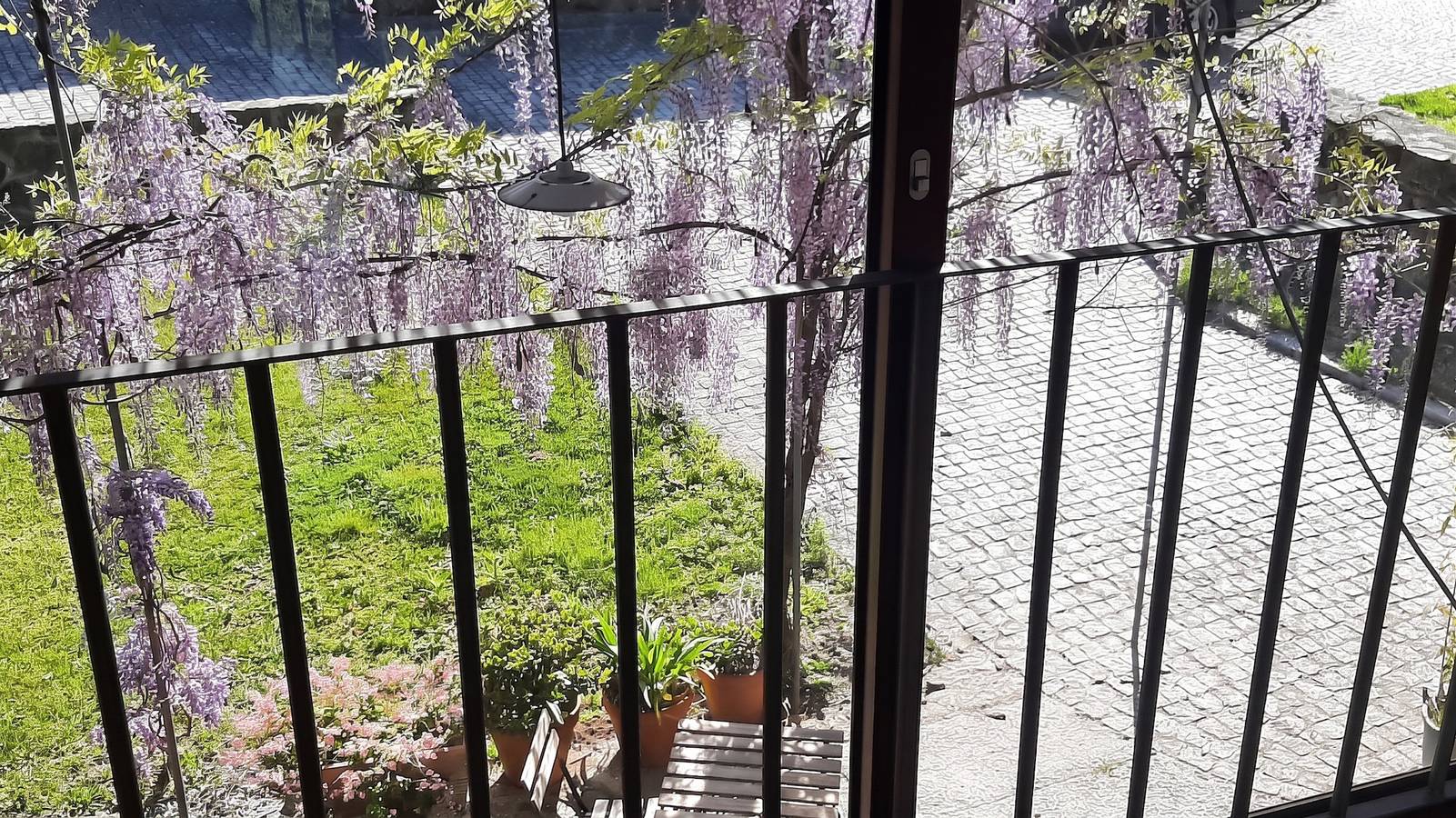 Casa encantadora em Covelas com piscina compartilhada in Covelas, Distrito de Braga