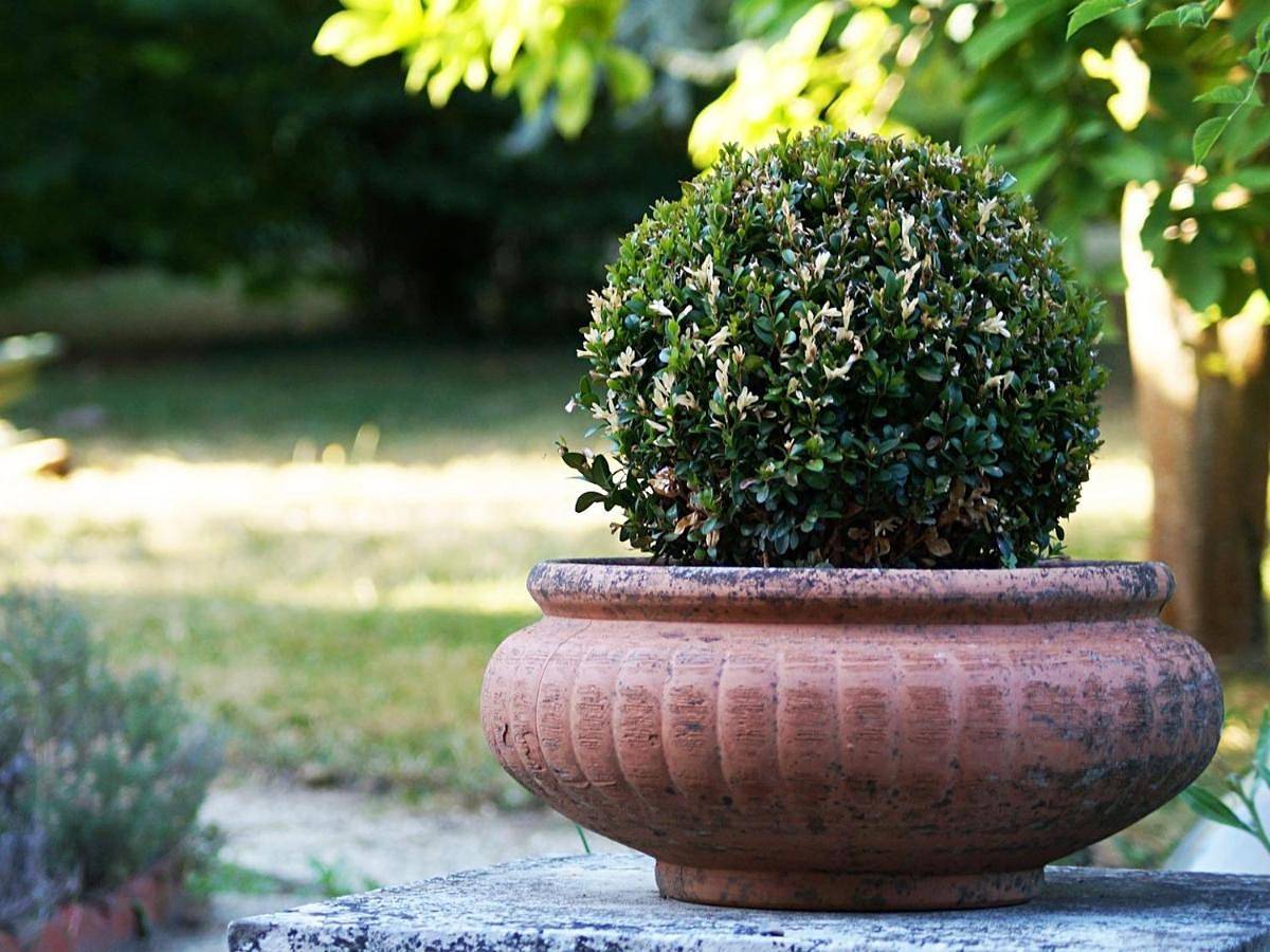 Maison d’hôte pour 5 personnes avec vue in Beauvais, Oise