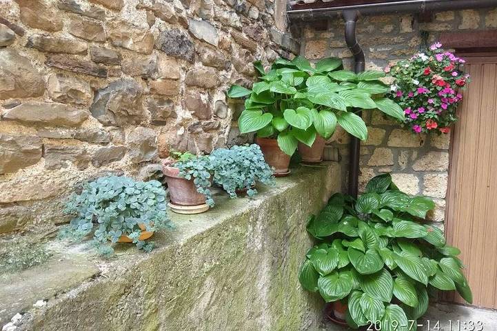 Gîte pour 4 personnes à Torla - 4