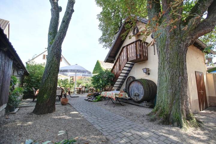 Hôtel pour 3 personnes, avec jardin et terrasse dans Oberrimsingen - 3