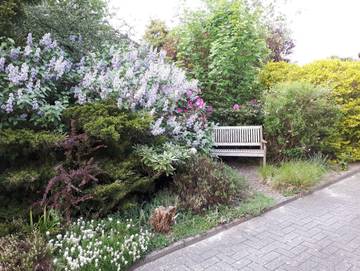 Ferienwohnung für 4 Personen in Dangast, Metropolregion Bremen-Oldenburg, Bild 3
