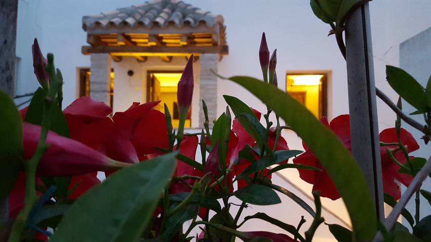 Entire studio, Studio Apartment 'El Arriate De Vejer - Estudio' with Wi-Fi in Vejer de la Frontera, Costa de la Luz
