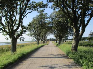 Ferienhaus für 6 Personen in Harboøre, Dänemark an der Nordsee, Bild 2