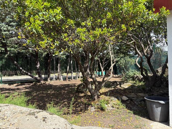 Casa rural para 3 personas, con Terraza y Jardín en Galapagar - 3