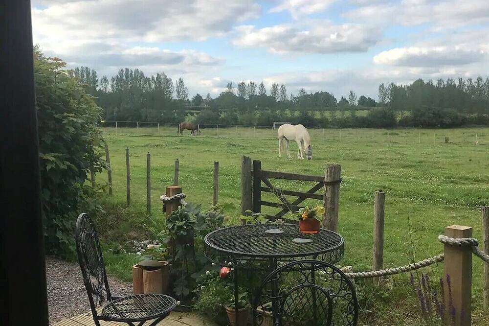 Private Quiet Cabin, overlooking Paddocks Vineyards and Pine Forest in Westfield, East Sussex