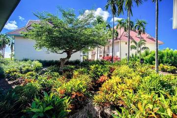 Studio pour 3 Personnes dans Rivière-Salée, Antilles, Photo 3