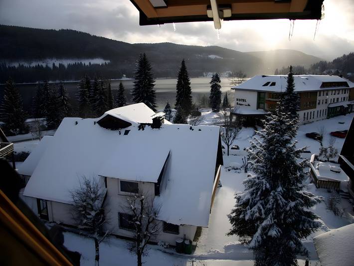Ferienwohnung für 2 Personen, mit Balkon und Seeblick, mit Haustier in Titisee-Neustadt - 4
