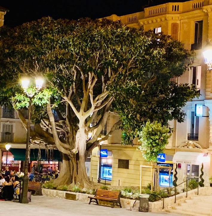 Hôtel pour 2 personnes, avec vue, animaux acceptés à Beaulieu-sur-Mer - 4