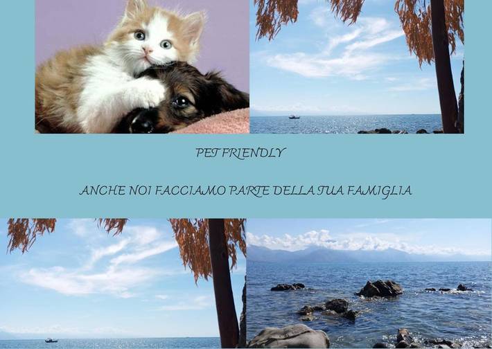 Appartamento vacanze per 4 persone, con panorama e terrazza, con animali domestici - 1