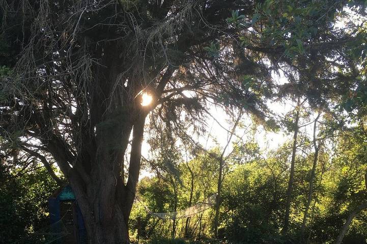 Location de vacances pour 14 personnes dans Loireauxence - 4