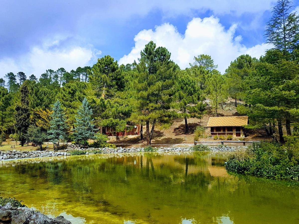 La cabaña del lago en Zafiro Lagunazo Parque Natural del Río Mundo in Riopar (rio Mundo), Riópar